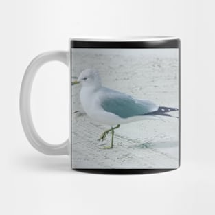 Standing seagull Mug